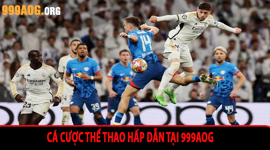 Cá cược thể thao hấp dẫn