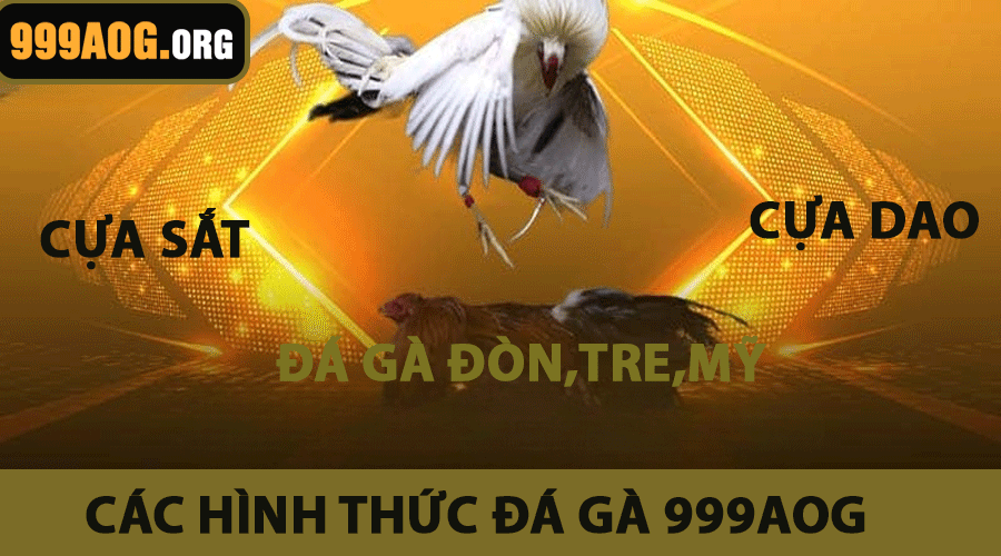 Các Hình Thức Đá Gà Phổ Biến Tại Đá Gà 999AOG