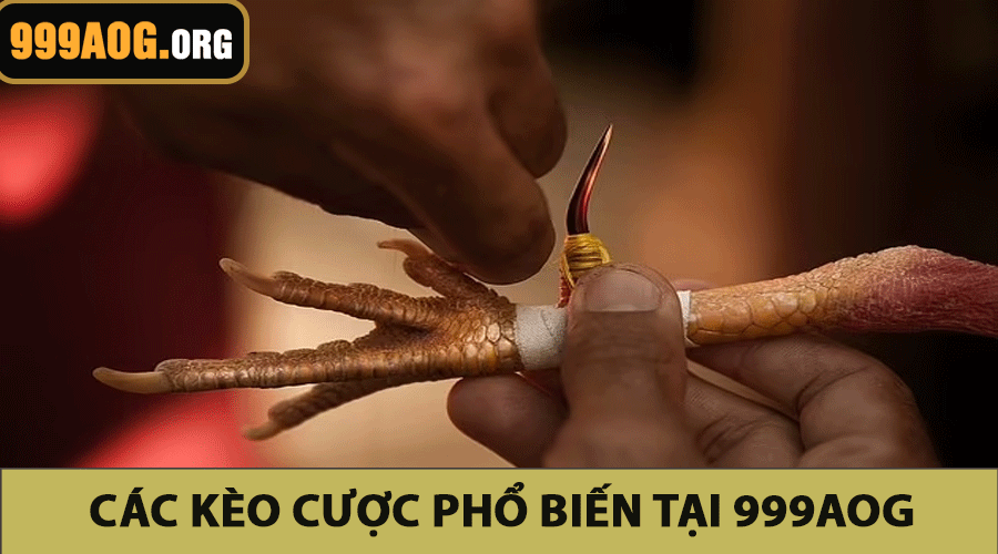 Các kèo cược phổ biến tại 999AOG