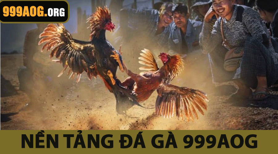 Nền Tảng Đá Gà 999AOG