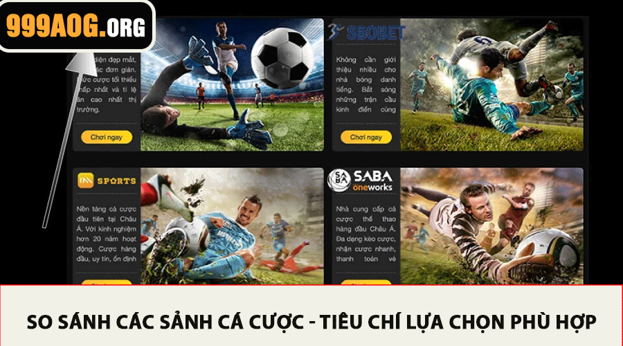 So sánh các sảnh cá cược - Tiêu chí lựa chọn phù hợp