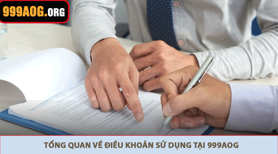 Tổng quan về điều khoản sử dụng tại 999aog